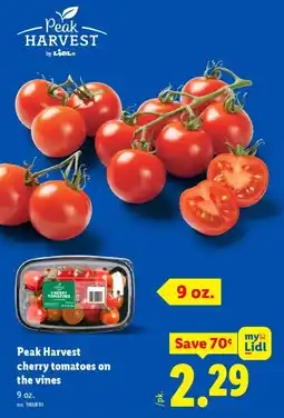 Lidl Peak Harvest cherry tomatoes on the vines offer