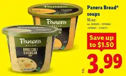Lidl Panera Bread soups offer
