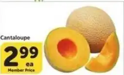 Albertsons Cantaloupe offer
