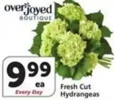 Albertsons Fresh Cut Hydrangeas offer
