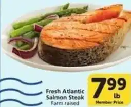 Albertsons Fresh Atlantic Salmon Steak offer