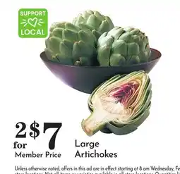 Pavilions Large Artichokes offer