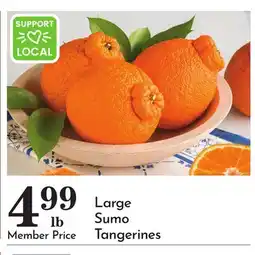 Pavilions Large Sumo Tangerines offer