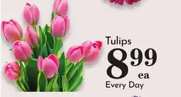 Pavilions Tulips offer