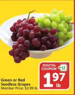 Albertsons Green or Red Seedless Grapes offer