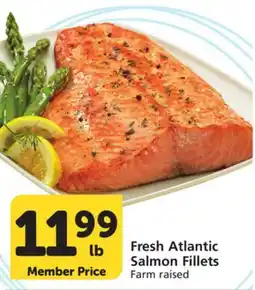 Albertsons Fresh Atlantic Salmon Fillets offer