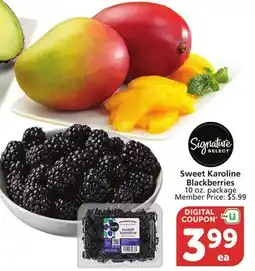 Vons Sweet Karoline Blackberries offer