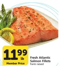 Vons Fresh Atlantic Salmon Fillets offer