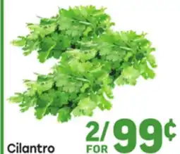 Tony’s Fresh Market Cilantro offer