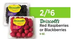 Heinen's Red Raspberries or Blackberries offer