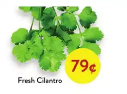 Fresh Thyme Fresh Cilantro offer