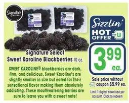 Jewel-Osco Signature Select Sweet Karoline Blackberries offer