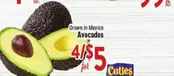 Rio Valley Market Avocados offer