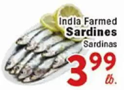 Rio Valley Market India Farmed Sardines offer