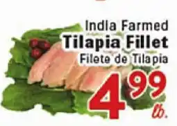 Rio Valley Market Indla Farmed Tilapia Fillet offer