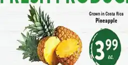 Rio Valley Market Pineapple offer