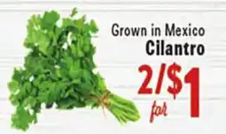 Rio Valley Market Cilantro offer