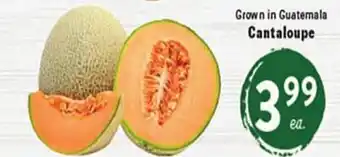 Rio Valley Market Cantaloupe offer