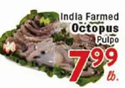 Rio Valley Market India Farmed Octopus offer