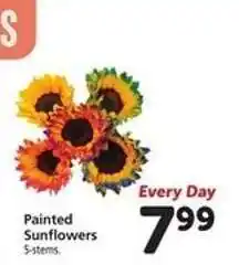 Safeway Painted Sunflowers offer