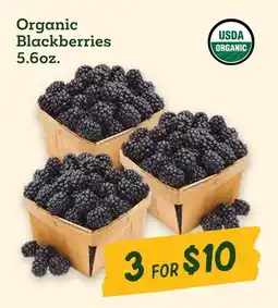 Sprouts Farmers Market Organic Blackberries offer