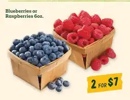 Sprouts Farmers Market Blueberries or Raspberries offer