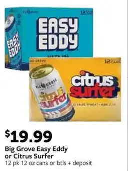 Fareway Big Grove Easy Eddy or Citrus Surfer offer