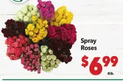 Vallarta Supermarkets Spray Roses offer