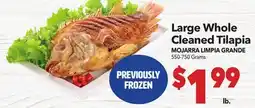 Vallarta Supermarkets Large Whole Cleaned Tilapia / MOJARRA LIMPIA GRANDE offer