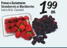 El Super Strawberreis or Blackberries offer
