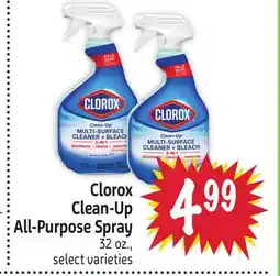 Foodmaxx Clorox Clean-Up All-Purpose Spray offer