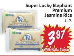 Foodmaxx Super Lucky Elephant Premium Jasmine Rice offer
