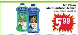 Foodmaxx Mr. Clean Multi-Surface Cleaner offer