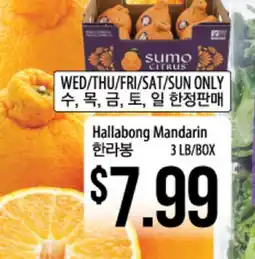 Hmart Hallabong Mandarin offer