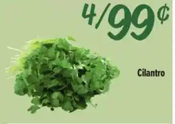 El Super Fresh Cilantro offer