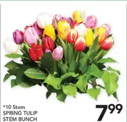 Pete's Fresh Market 10 Stem SPRING TULIP STEM BUNCH offer
