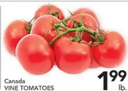 Pete's Fresh Market Canada VINE TOMATOES offer