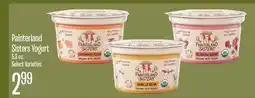 Jewel-Osco Painterland Sisters Yogurt offer