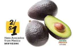 Winn Dixie Hass Avocados from Mexico offer