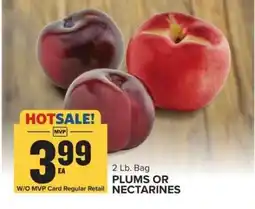 Food Lion Plums or Nectarines offer