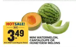 Food Lion Mini Watermelon, Cantaloupe or Honeydew Melons offer