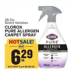 Food Lion CLOROX PURE ALLERGEN CARPET SPRAY offer