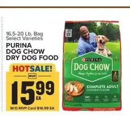 Food Lion Purina Dog Chow Dry Dog Food offer