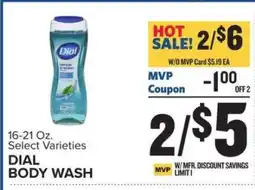 Food Lion Dial Body Wash offer
