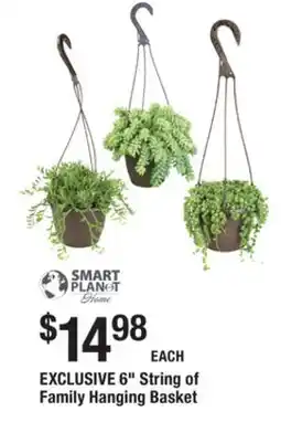 The Home Depot SMART PLANET 6 String of Family Hanging Basket offer