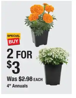 The Home Depot 4 Annuals offer