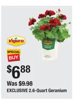 The Home Depot VIGORO 2.6-Quart Geranium offer