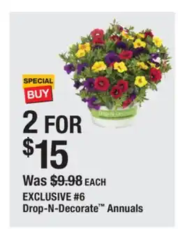 The Home Depot 6 Drop-N-Decorate Annuals offer