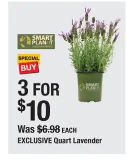 The Home Depot Quart Lavender offer