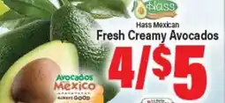 Angelo Caputo's Fresh Market Hass Mexican Fresh Creamy Avocados offer